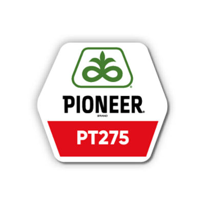 Pioneer WOSR